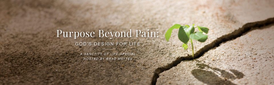 LIF SOL Sanctity of Life 2025 - Banner with subheading