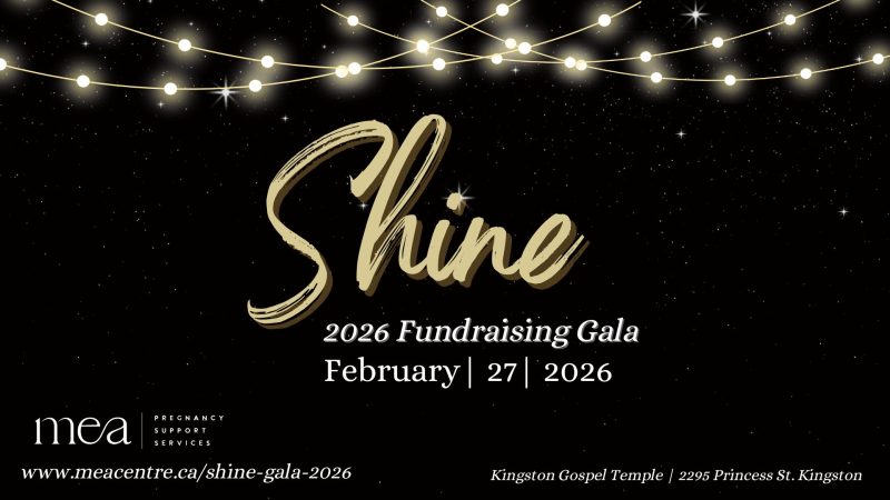 Shine Fundraising Gala