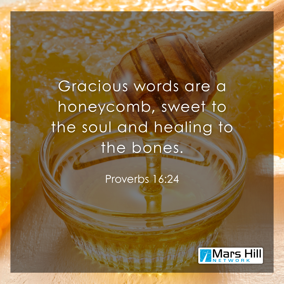 Proverbs 16:24