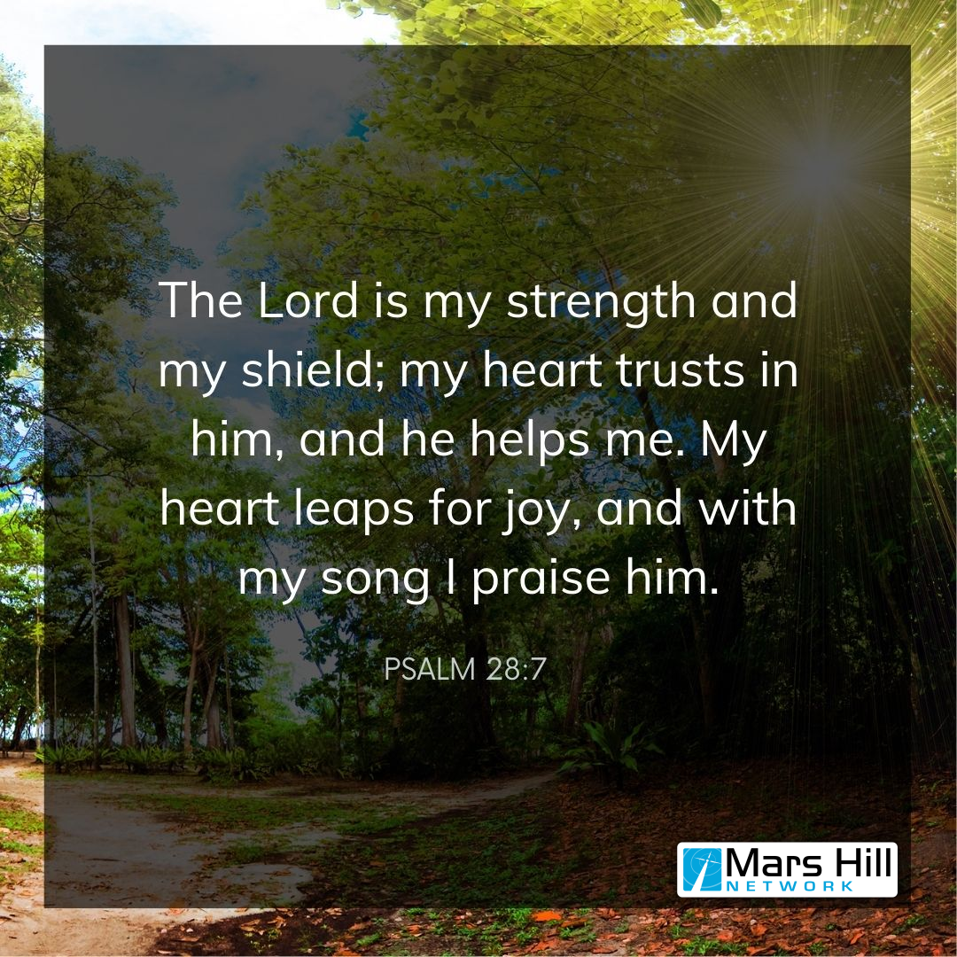 Psalm 28:7