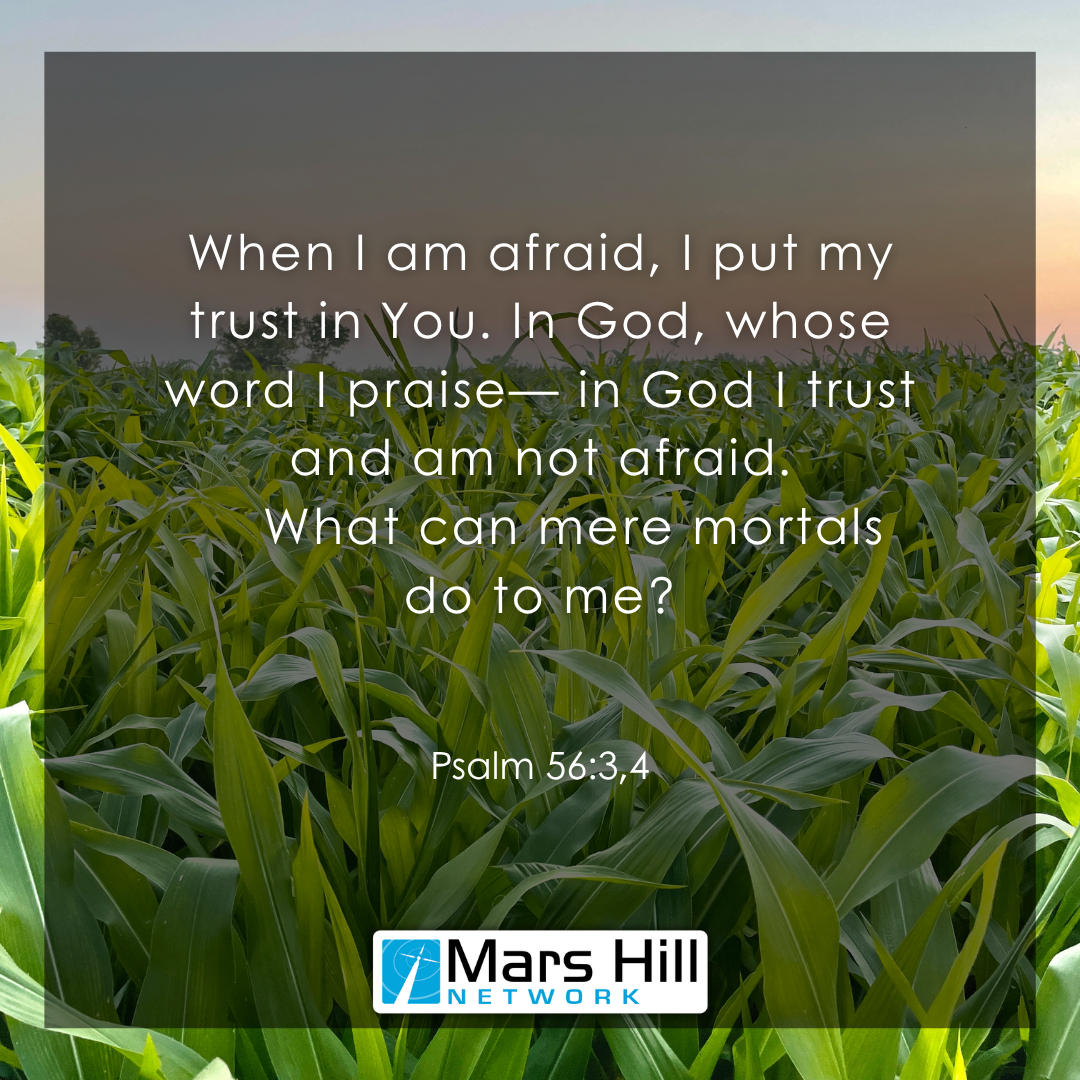 Psalm 56:3-4